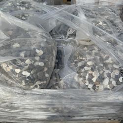 Beach Pebbles And Sea Shells Mix