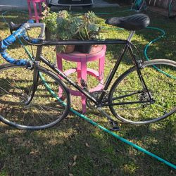 Vintage Univega Bicycle 