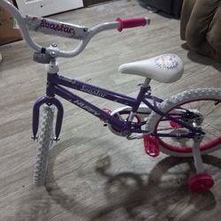 Pink Seastar Bike
Enjoy Every Movement
