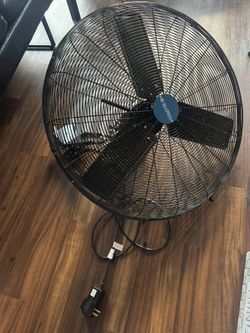 Global Industrial Outdoor Oscillating Wall Mounted Fan, 30"