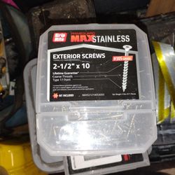 Stainless Steel Exterior Screws