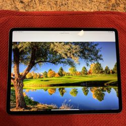 iPad Pro 12.9 Inch Wi-Fi 512gb  4th Generation 