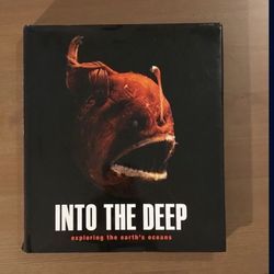 Into The Deep 