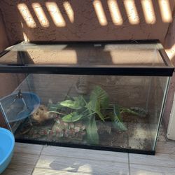 30 Gallon Fish Tank/ Reptile Tank
