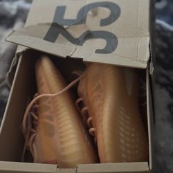 Adidas Yeezy Sneakers 