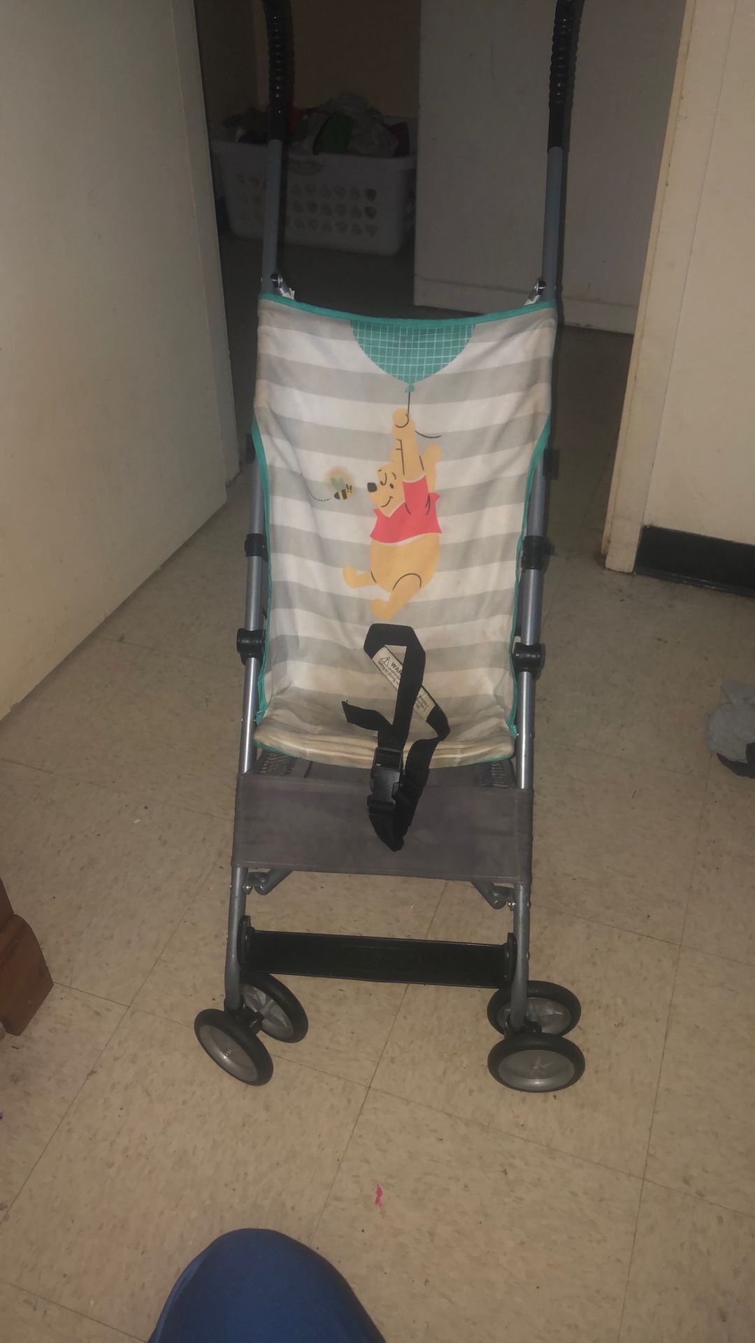 Winny Pooh Boy Stroller