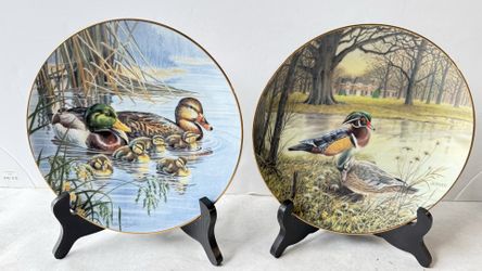 Bruce Langton Wood Duck Plates