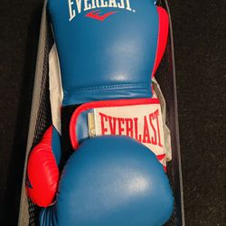  Boxing Gloves