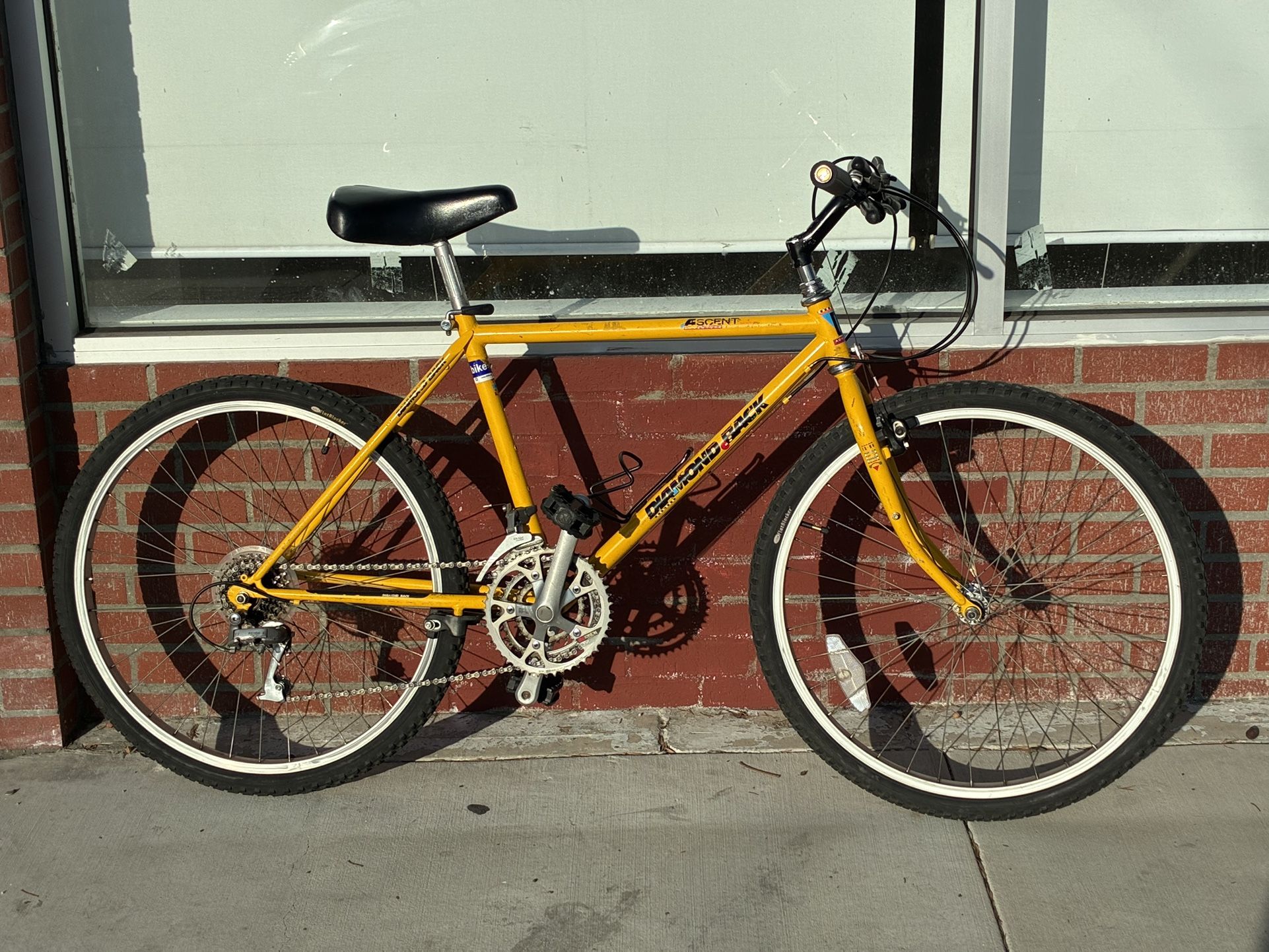 Diamondback Ascent Adventure Mountain Bike