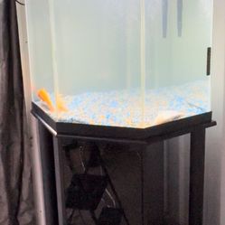 Pecera … Fish Tank