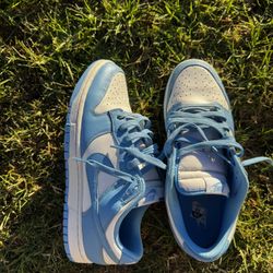 Nike Dunks 