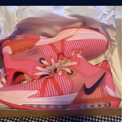 Nike Lebron Witness 7