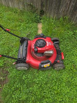 Lawnmower today only