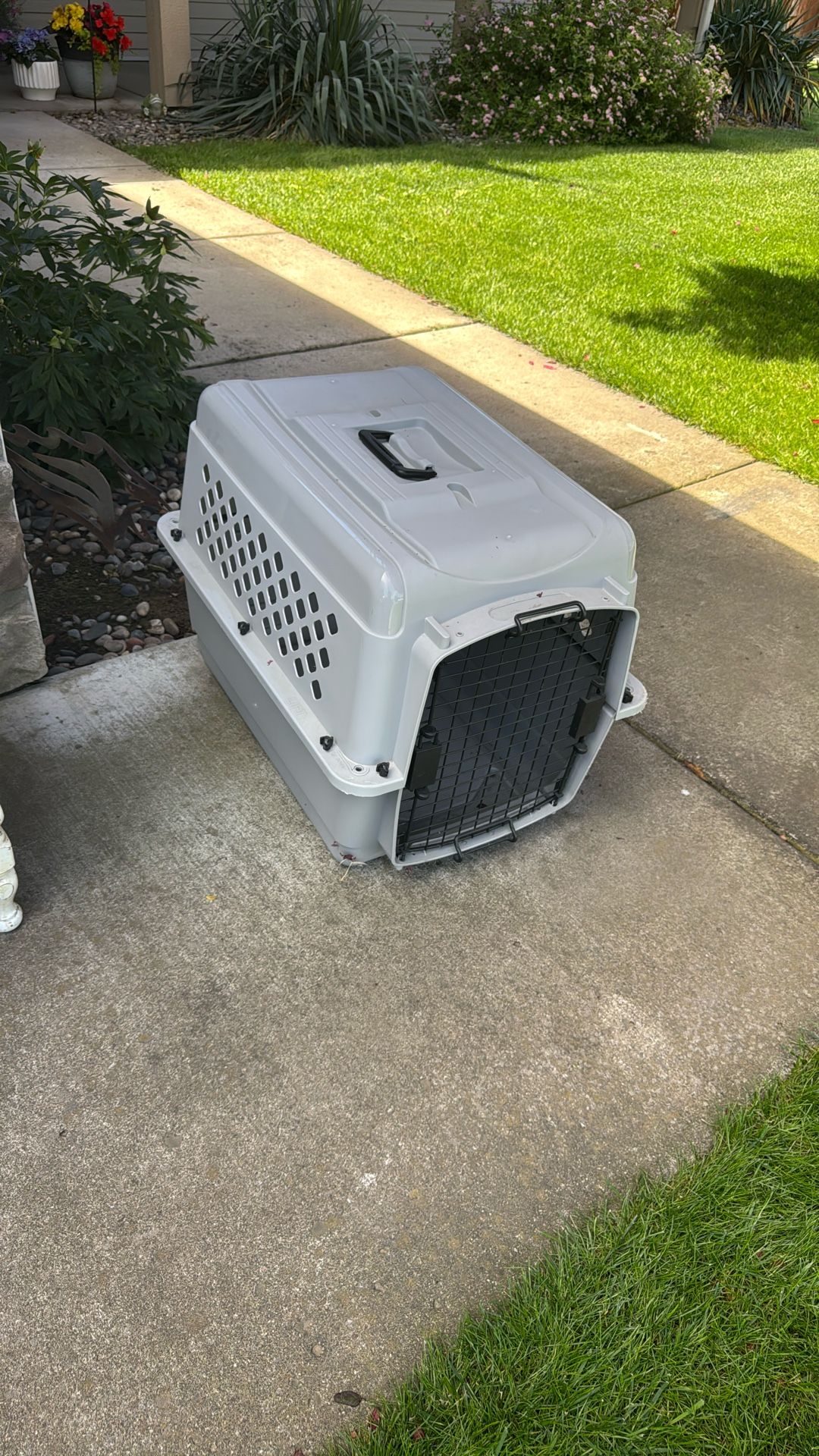 Dog Kennel