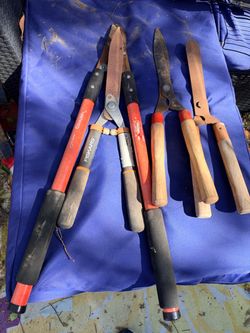 Lot of Garden Pruning Tools