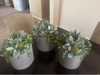 Faux plants set of 3