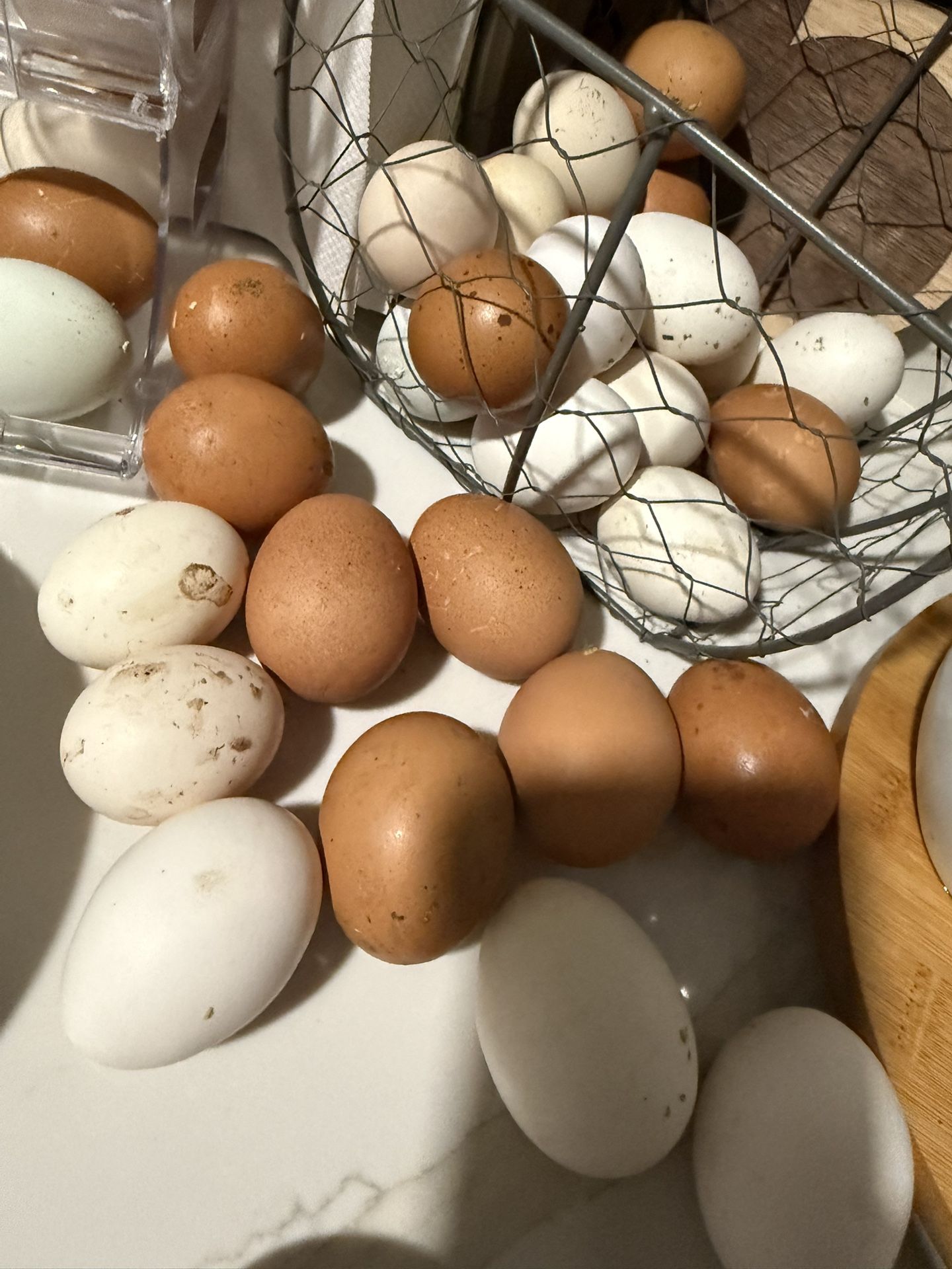 Fresh Organic Eggs