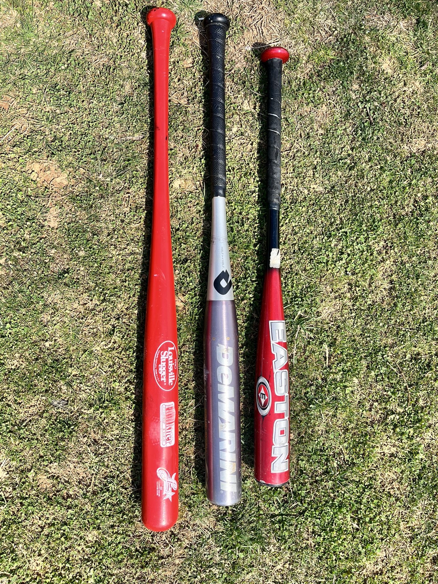 Bats
