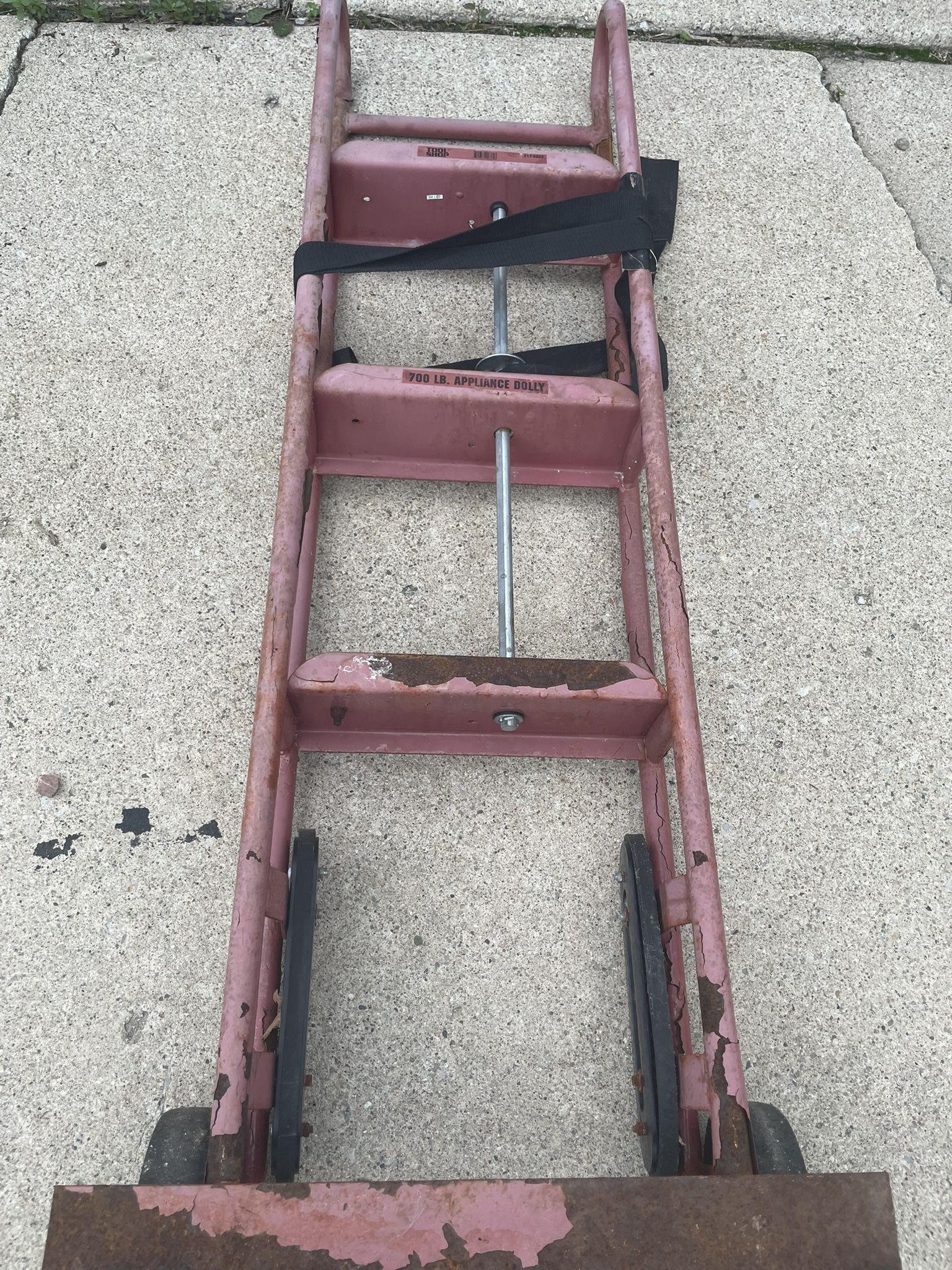 Dolly For Sale