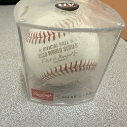 2020 Los Angeles Dodgers World Series Championship Ball Authentic