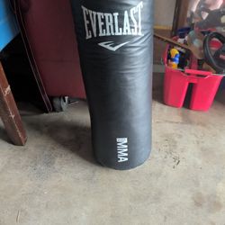 Everlast Mma