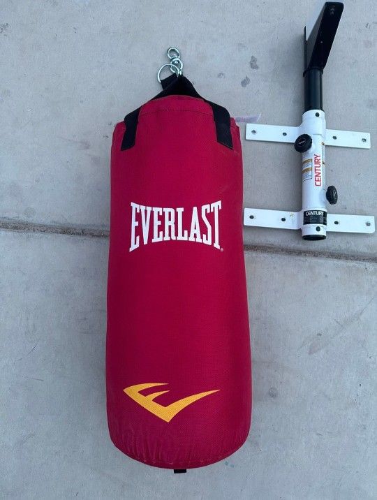 50 Lb PUNCHING Bags W|Mount