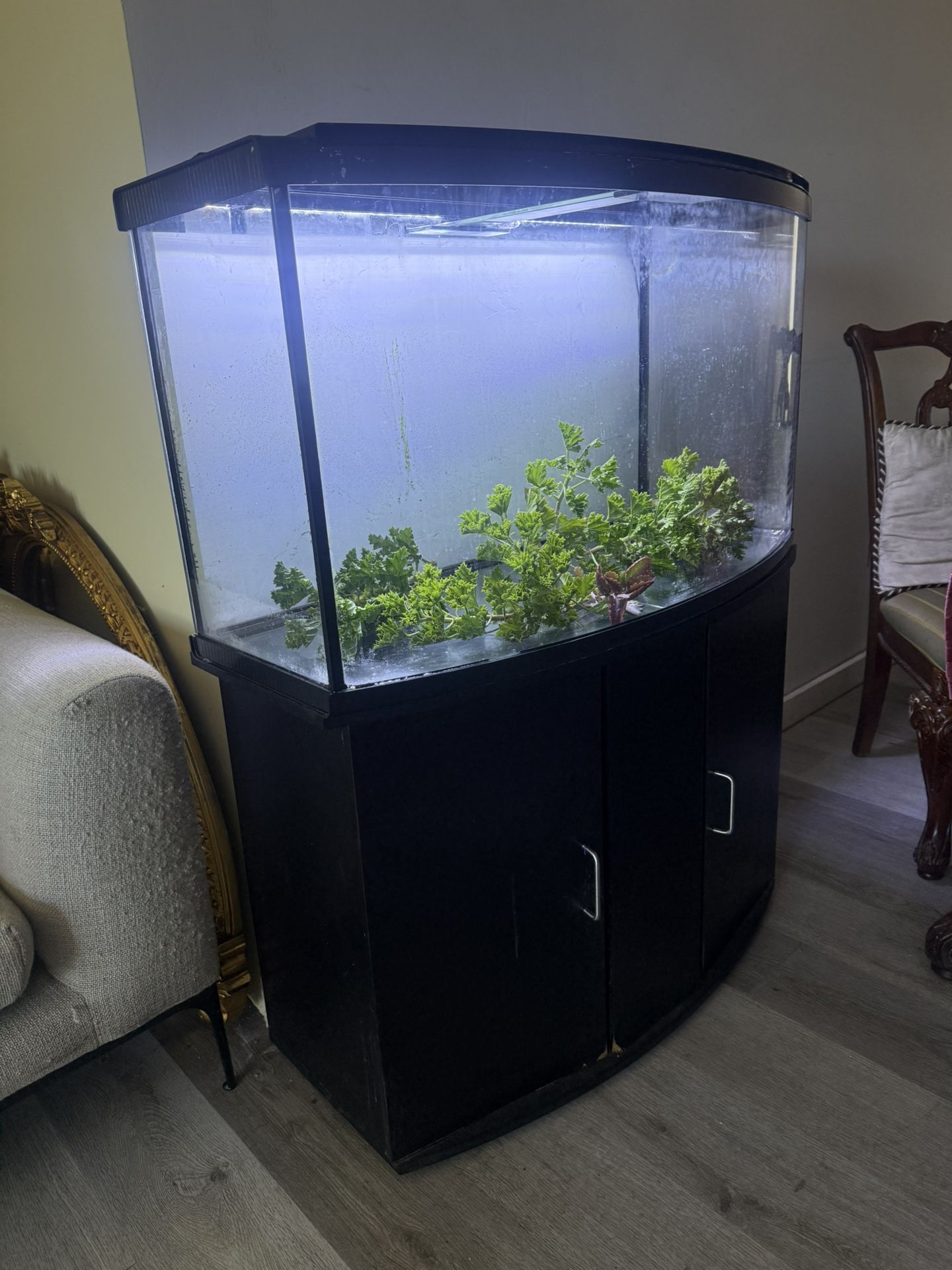 Amazing Show Case Aquarium/ Fish Tank 40 Gallons Includes Stand And Lights