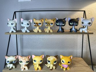 Littlest Pet Shop Shorthair Cat