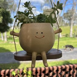 Hanging Succulent Face Swing Pots New