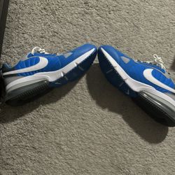 Blue Nike (size 11.5)