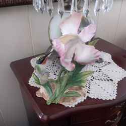 Humming  birds