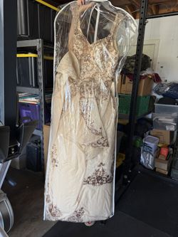 Dresses/ Quinceañera/ Prom