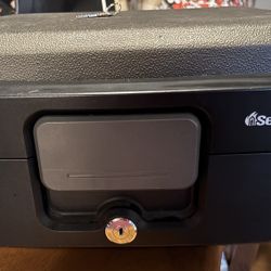 Sentry Safe