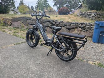 Himiway Big Dog Ebike Moped Cargo Electric Bike
