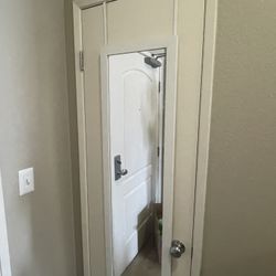 Door Mirror 
