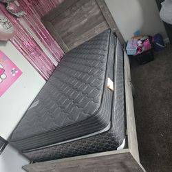 Vendo Cama Y Colchón 