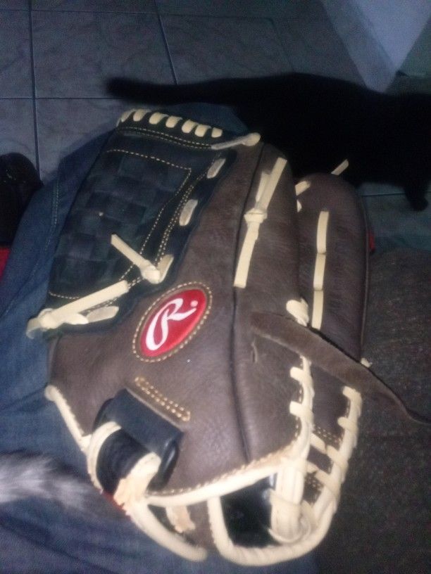 Rawlings Baseball Gloves Kids