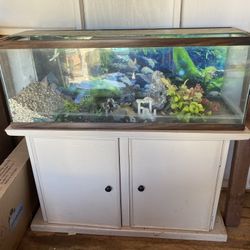 Aquarium 60 Gallon 