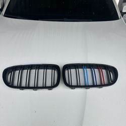 BMW 5 Series F10 M Color Kidney Grills (2011-2016)