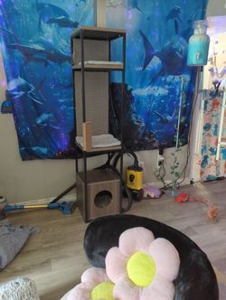 4 Tiered Cat Post With Hideaway Cubicle