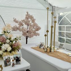 Wedding Set Up Decor 