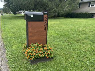 Mail Box Wood