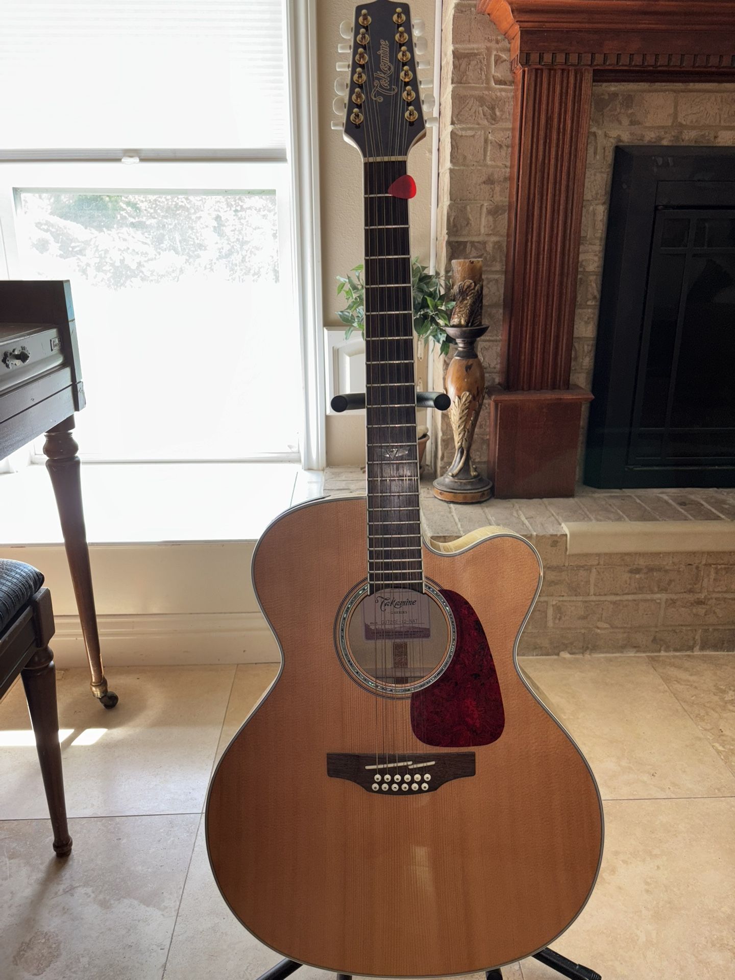Takamine G Series