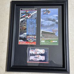 Daytona 500 Framed Collage