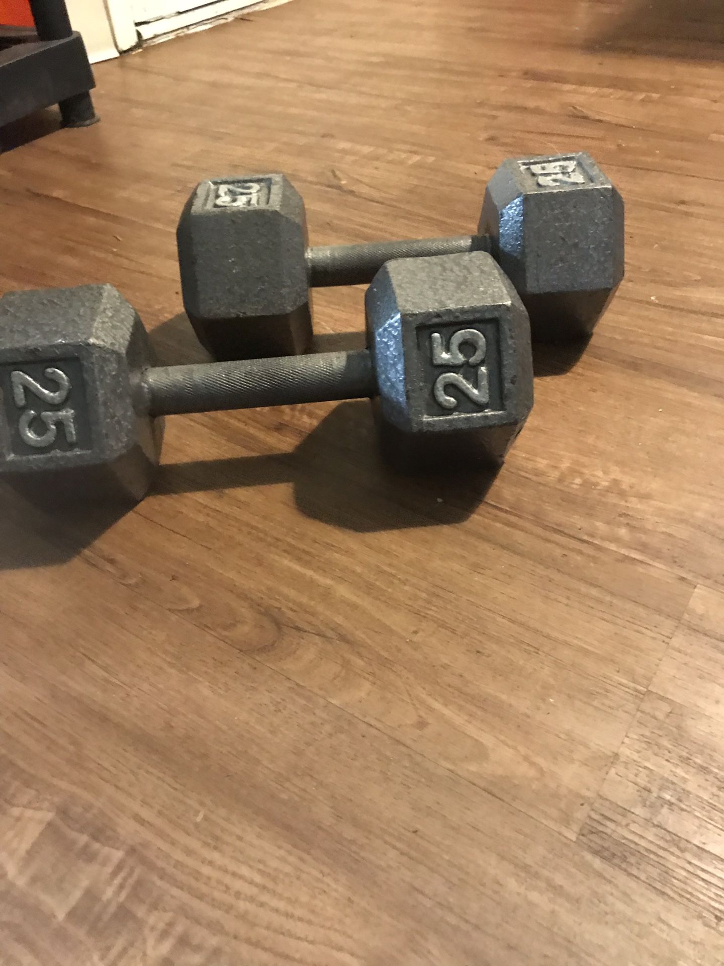 Hand held 25 lb each weights