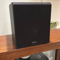 Sony Active Subwoofer 