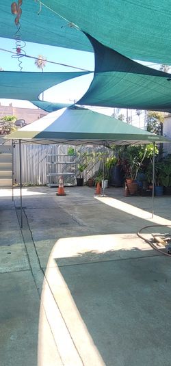 13 X 13 Canopy