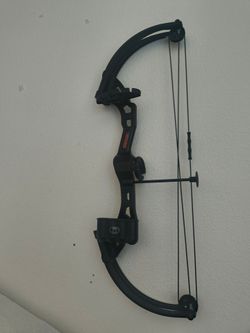 Bear Archery Brave