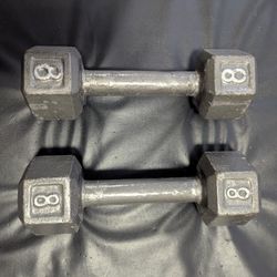 Eight (8) Lb. Dumbbell Pair