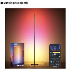 Govee RGBIC Floor Lamp Basic